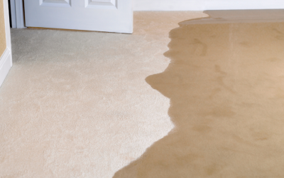 Repipe vs Plumbing Company: What Homeowners Need to Know