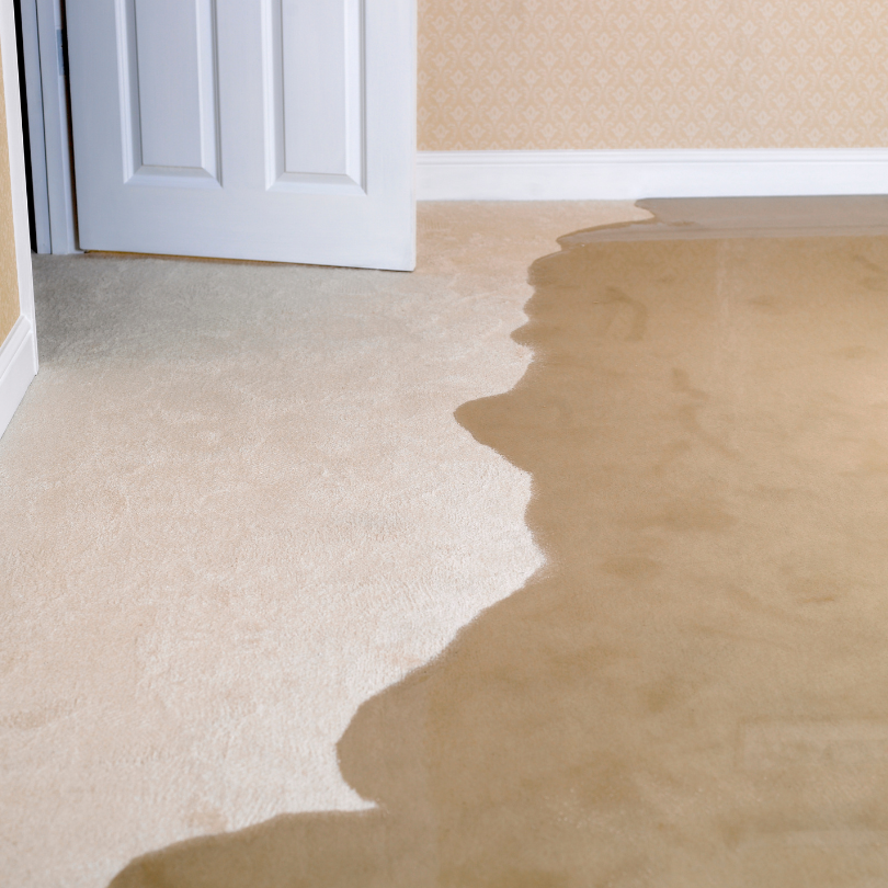 Water damage on carpet from slab leak showing hidden plumbing failure that often leads homeowners to consider a full repipe