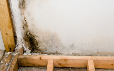 How Fast Does Water Damage Spread?