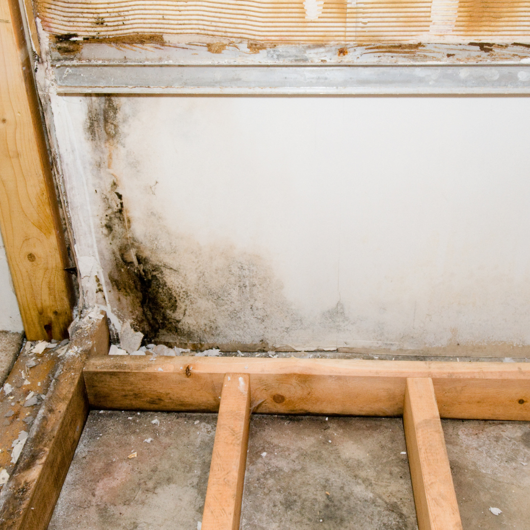 water-damaged drywall with visible mold and structural framing exposed from hidden plumbing leak