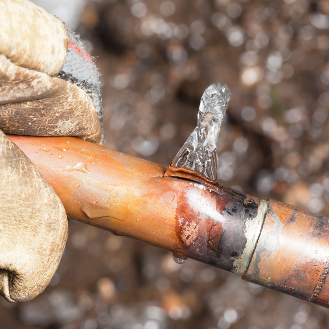 Corroded copper pipe leaking water — why Orange County homeowners need a whole home repipe