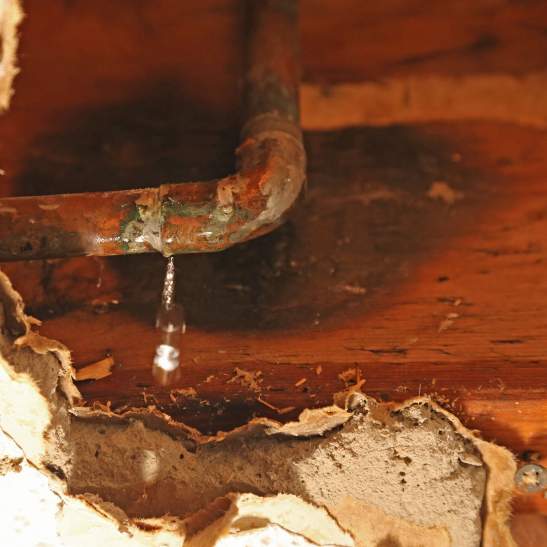 tubería de cobre corroída con fuga de agua dentro de la pared causando daños y señal de que se necesita cambiar la plomería