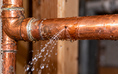 Pinhole Leaks in San Diego Homes: Repair the Leak or Repipe?